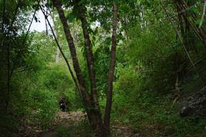 BIB: 
                            <button type="button" onclick="openModal(22241963)" class="btn btn-primary btn-sm float-right btn-popup" data-toggle="modal" data-target=".modal-high-quality">
                        <i class="fas fa-shopping-cart"></i> Add to Cart
                    </button>
                                            <button type="button" onclick="isThisMe(22241963, true)" class="btn btn-success btn-sm float-right btn-popup btn-isme hidden" data-toggle="tooltip" data-placement="bottom" title="นี่คือรูปของคุณใช่ไหม คลิกที่นี่เพื่อเอาเข้าอัลบั้ม">
                        <i class="fas fa-plus"></i> Add to album
                    </button>
                    <button type="button" onclick="isThisMe(22241963, false)" class="btn btn-warning btn-sm float-right btn-popup btn-isnotme hidden">
                        <i class="fas fa-ban"></i> Remove from album
                    </button>